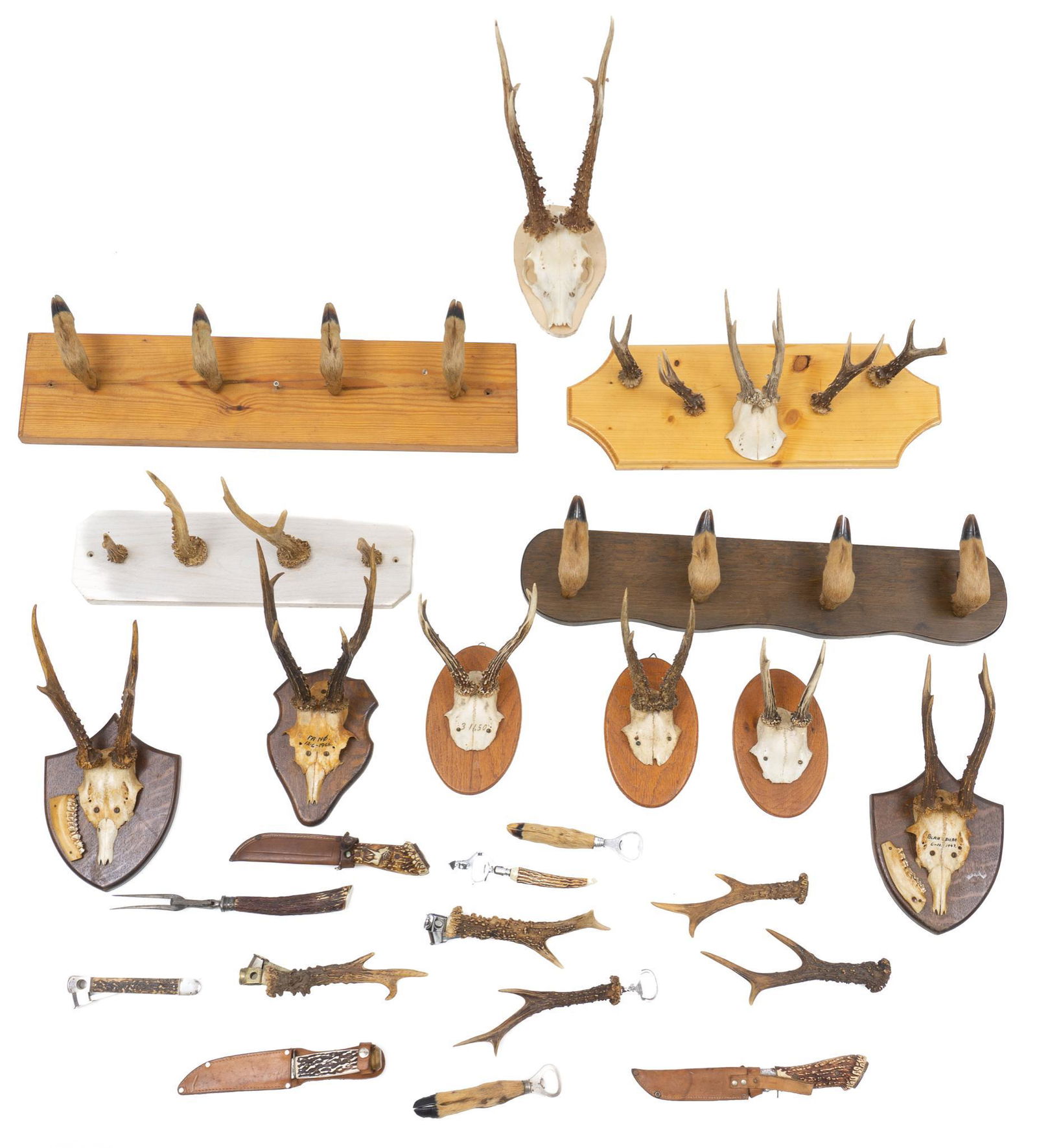 Lot of 25 Vintage Taxidermy Decor (1 of 5)