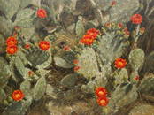 Helen Hunter (1920-2003), Blooming Cactus, 1985, oil