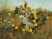 Helen Hunter (1920-2003), Cactus, 1978, oil on canvas,