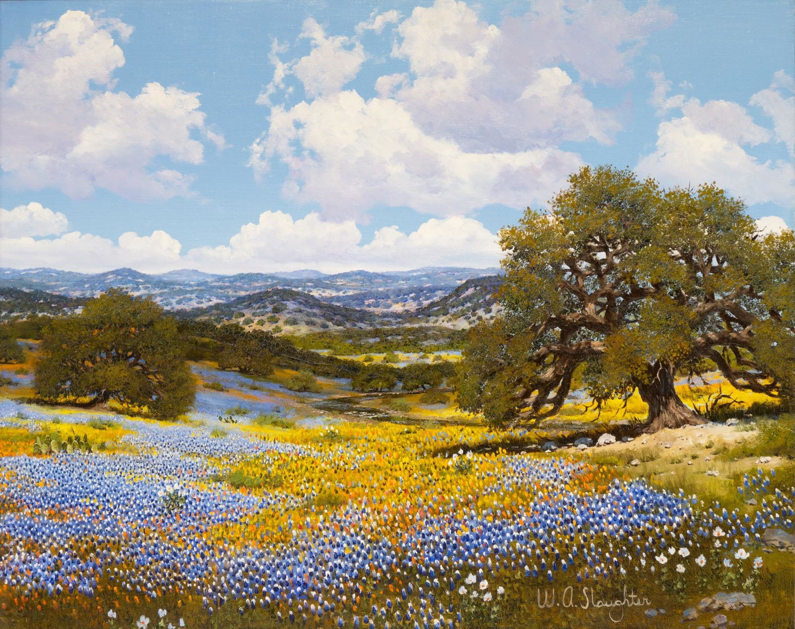 William A. Slaughter (1923-2003), Bluebonnets, oil on: William A. Slaughter (1923-2003), Bluebonnets, oil on canvas, 24 x 30", frame: 32.25 x 38.25" William A. Slaughter was born in San Antonio, Texas in 1923 and died in Dallas, Texas December 2003. His f