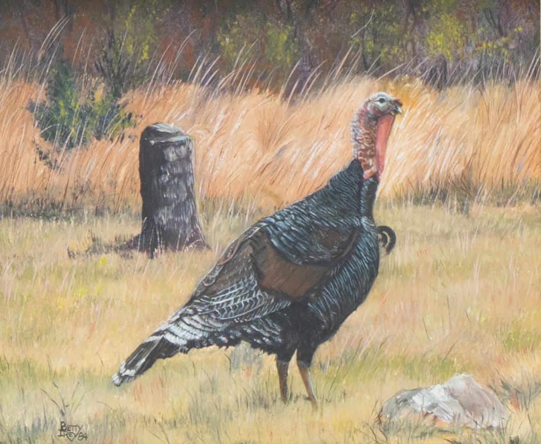 Betty Irey (San Antonio, TX), Wild Turkey, 1984 (1 of 4)