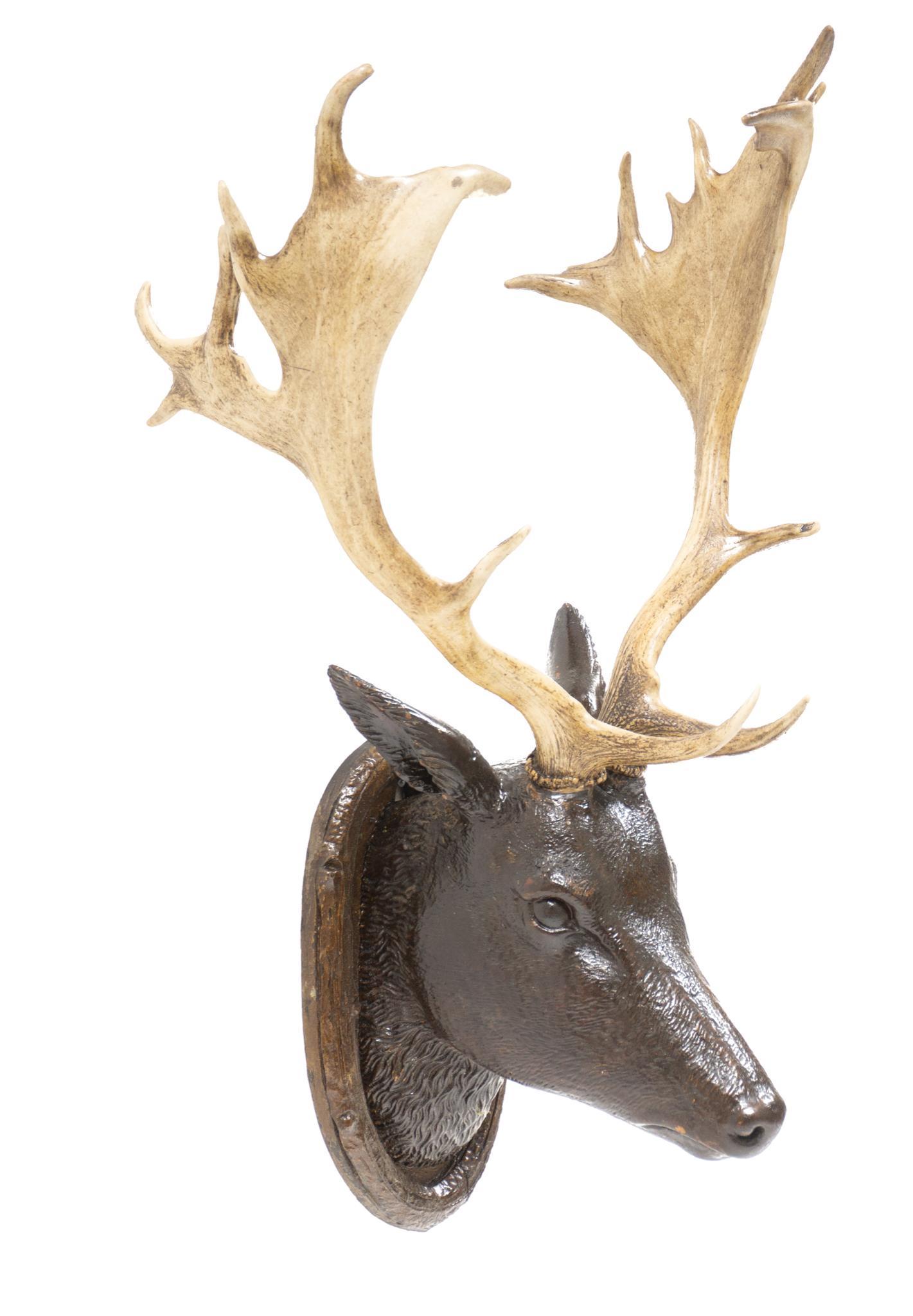Vintage Black Forest Taxidermy Roe Deer Mount (1 of 4)