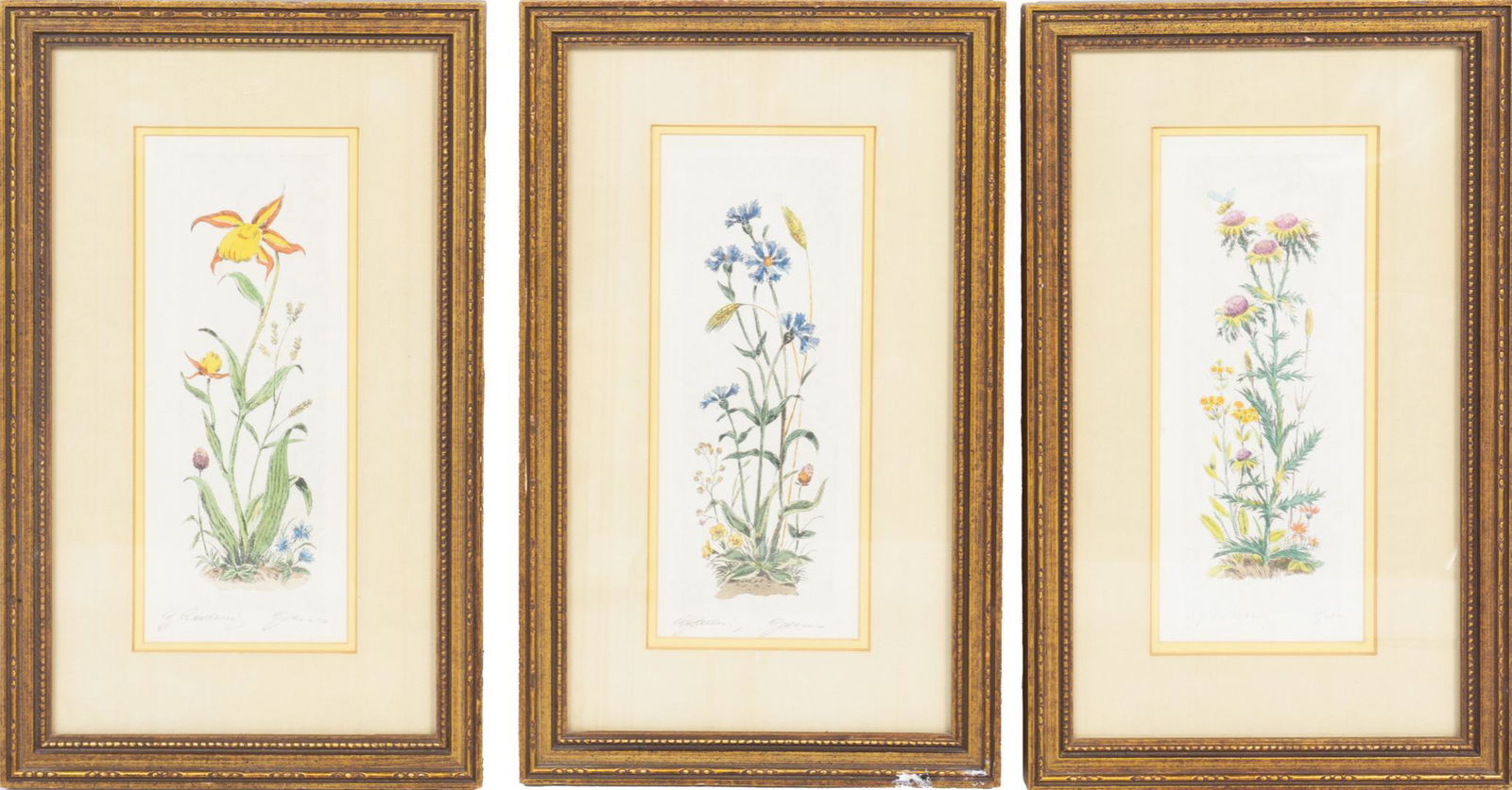 Set of 3 Classical Floral Etchings (1 of 5)