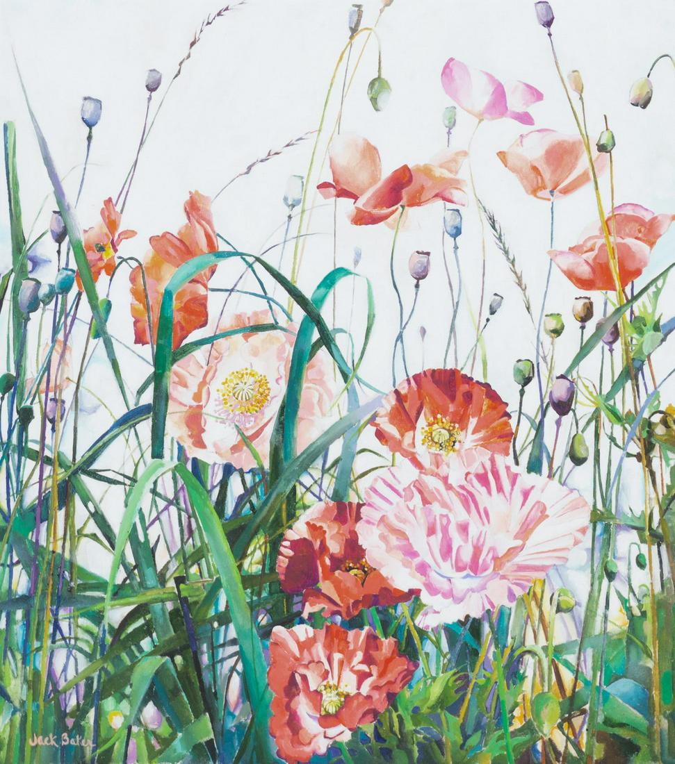 Jack Baker, Poppy Field (1 of 4)