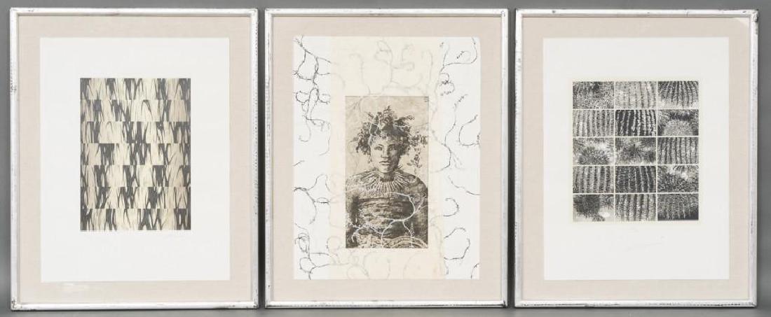 3 Mexican Serigraphs 67/120, Kaim, Rippey, Hendrix: Mario Palacios Kaim (Mexican, b. 1953), Carla Rippey (Mexican, b. 1950), Jan Hendrix (Dutch/Mexican, b. 1949),: lot of 3 serigraphs from the series "Diez Artistas y un Poeta en Pro de las Plantas Amen