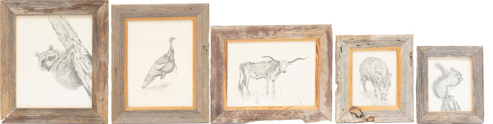 Noeline Harris (1923-2011), Set of 5 Wildlife Drawings (1 of 3)