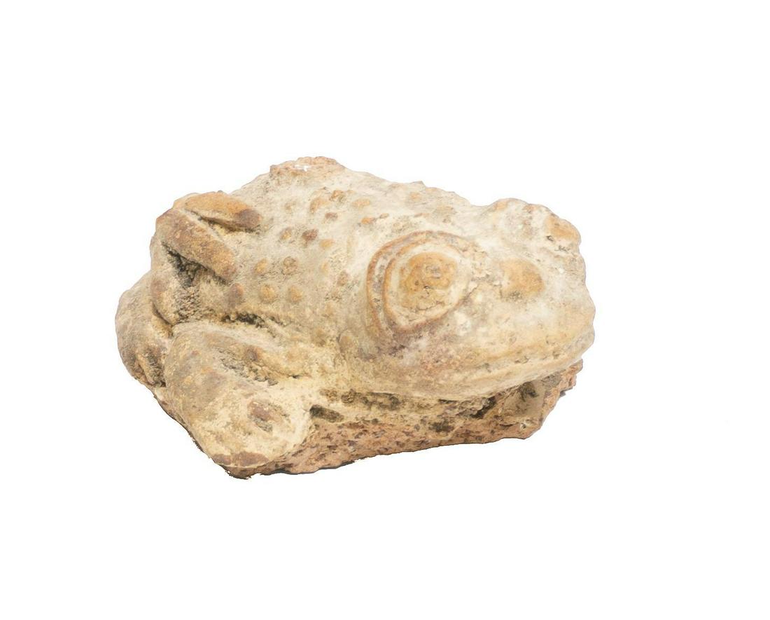 Pre-Columbian Pottery Shard (1 of 3)