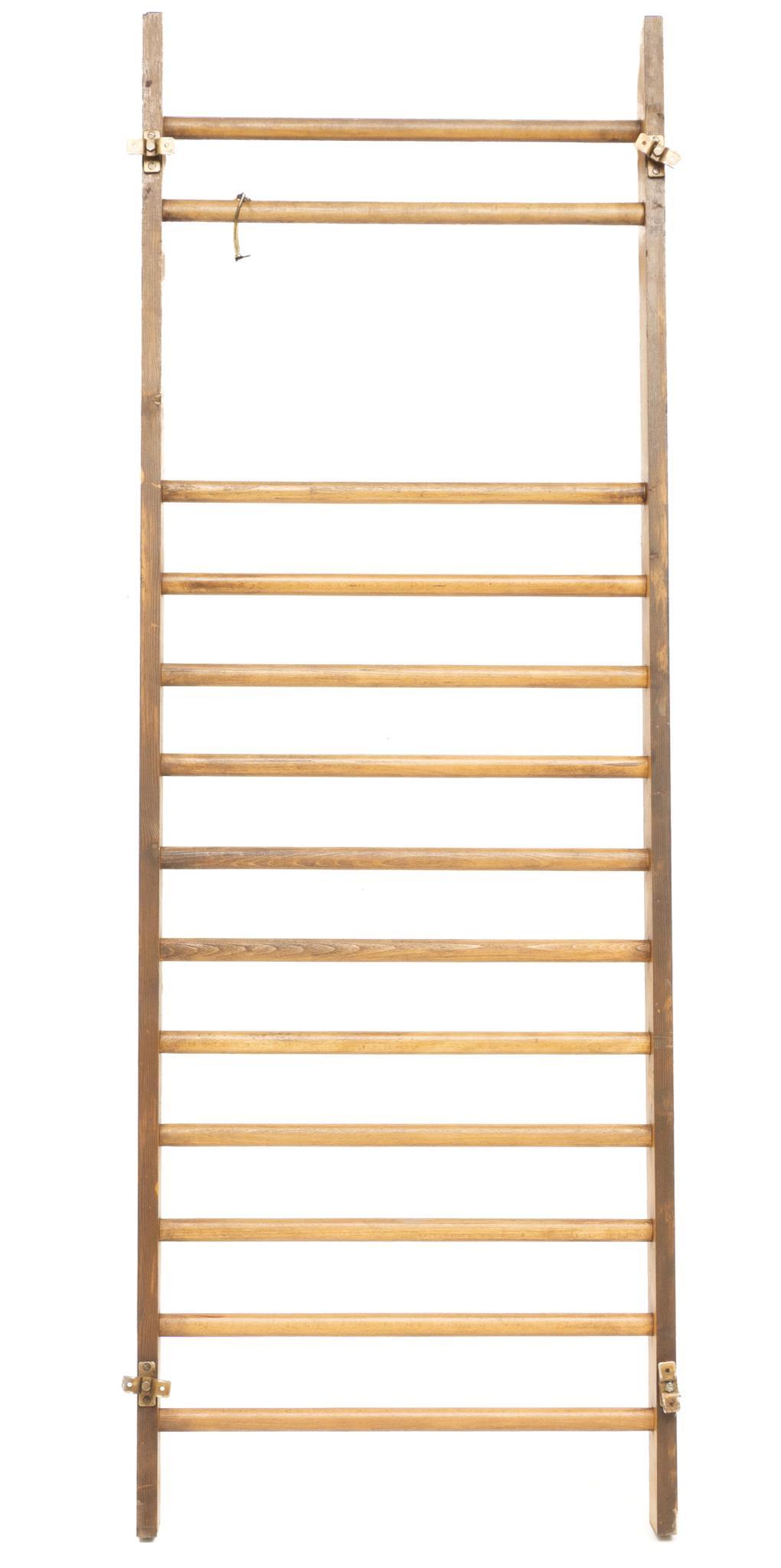 Vintage Gym Training Ladder (1 of 6)