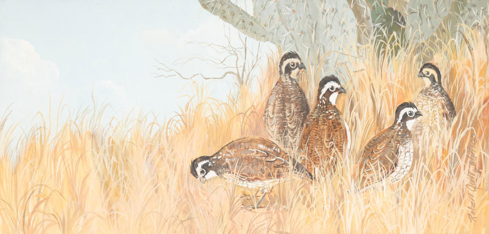 Robert Quill Johnson (1927-1980), Quail (1 of 4)