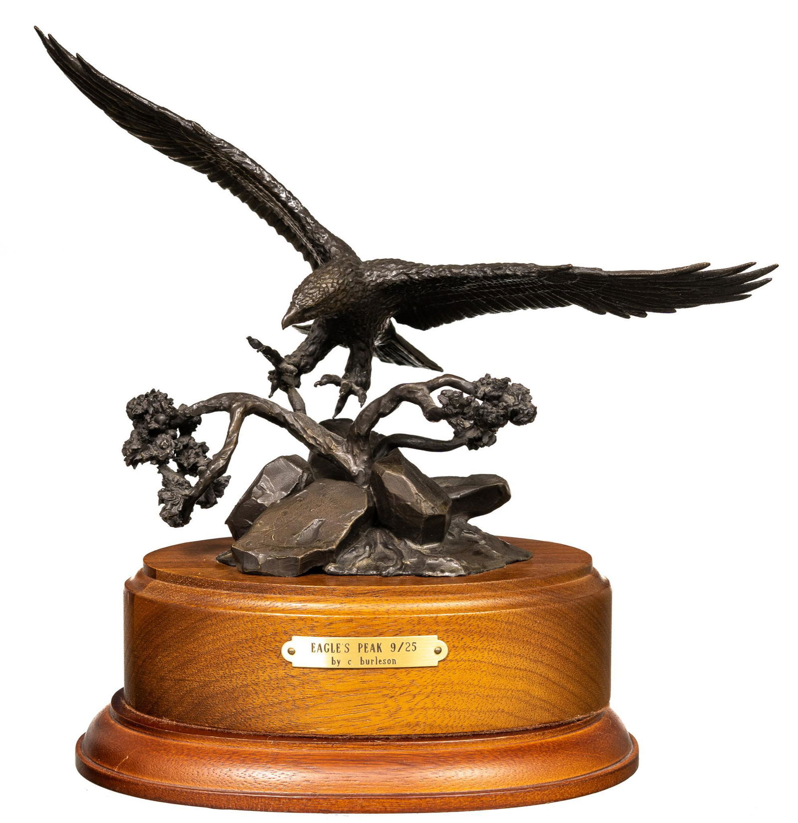 Cindy Burleson (b. 1958), "Eagle Peak" (1 of 11)