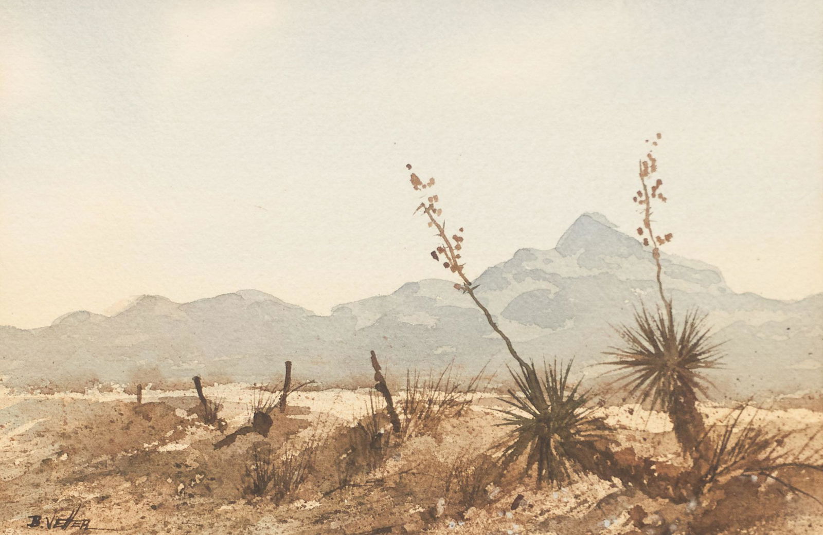 Bernard Vetter, Century Cactus (1 of 4)