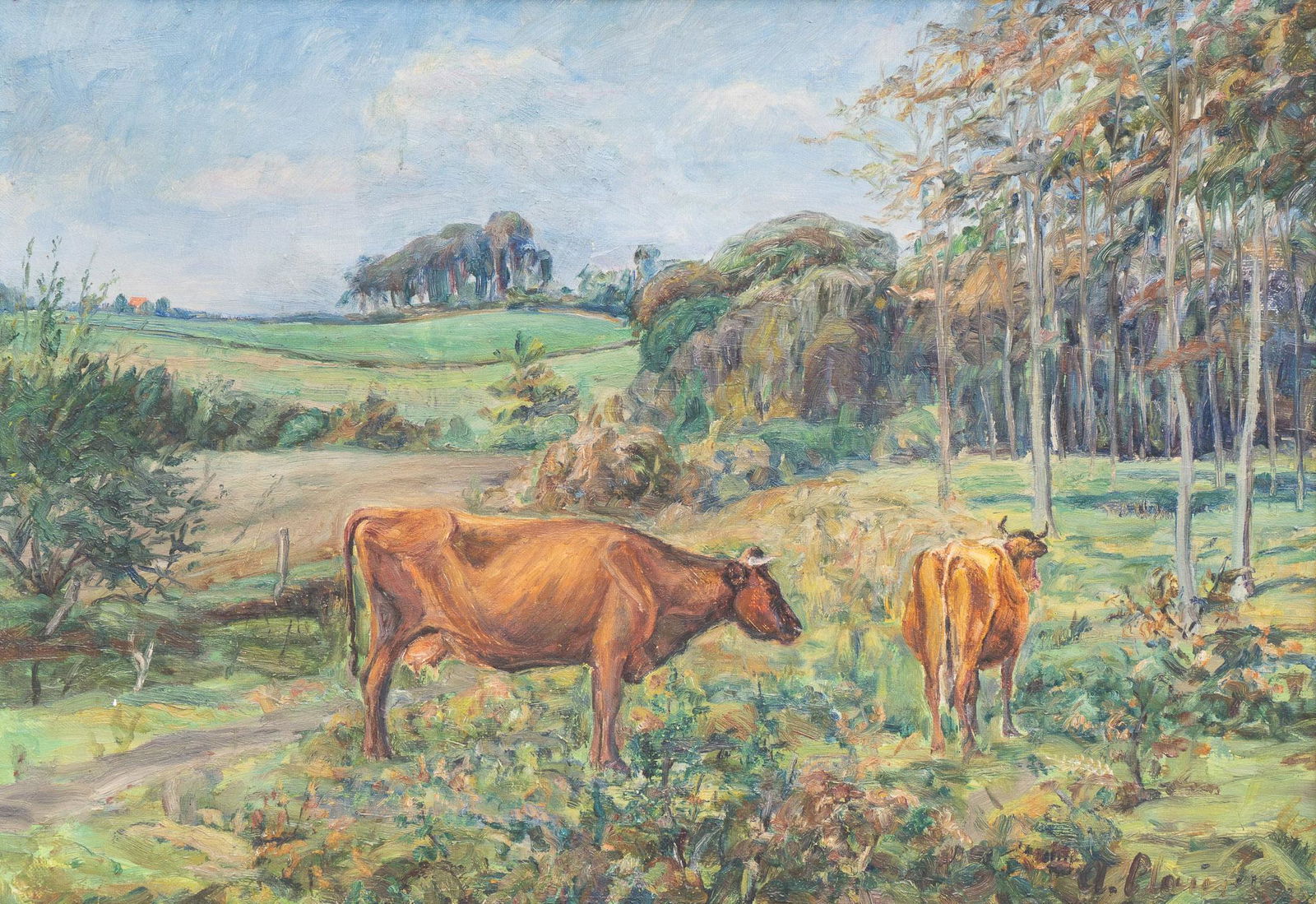 A.C., Cows (1 of 4)