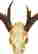 item-111341463=4