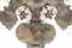 item-112328732=10