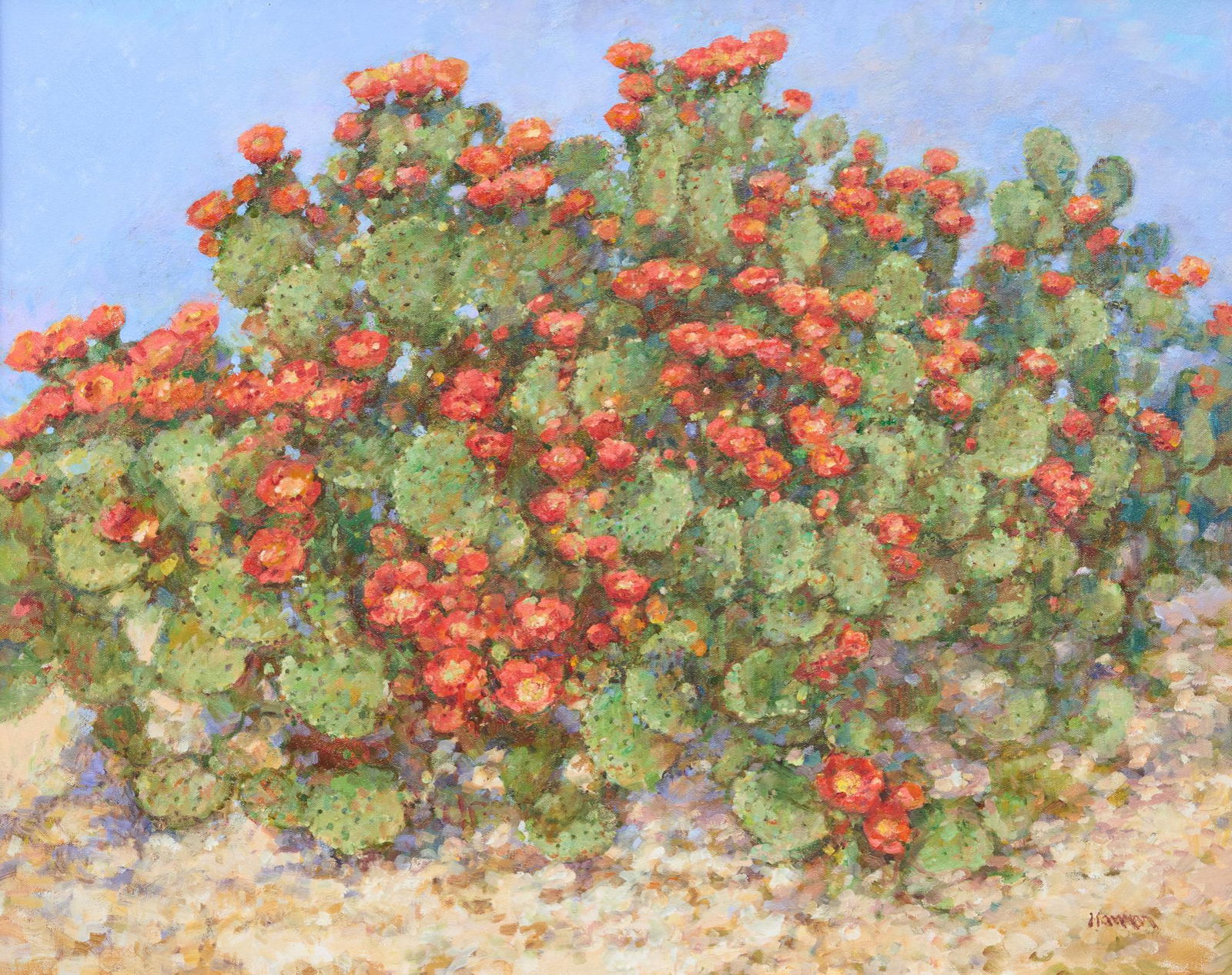 Robert Hamman (b. 1938), "Prickly Pear in Bloom" (1 of 4)