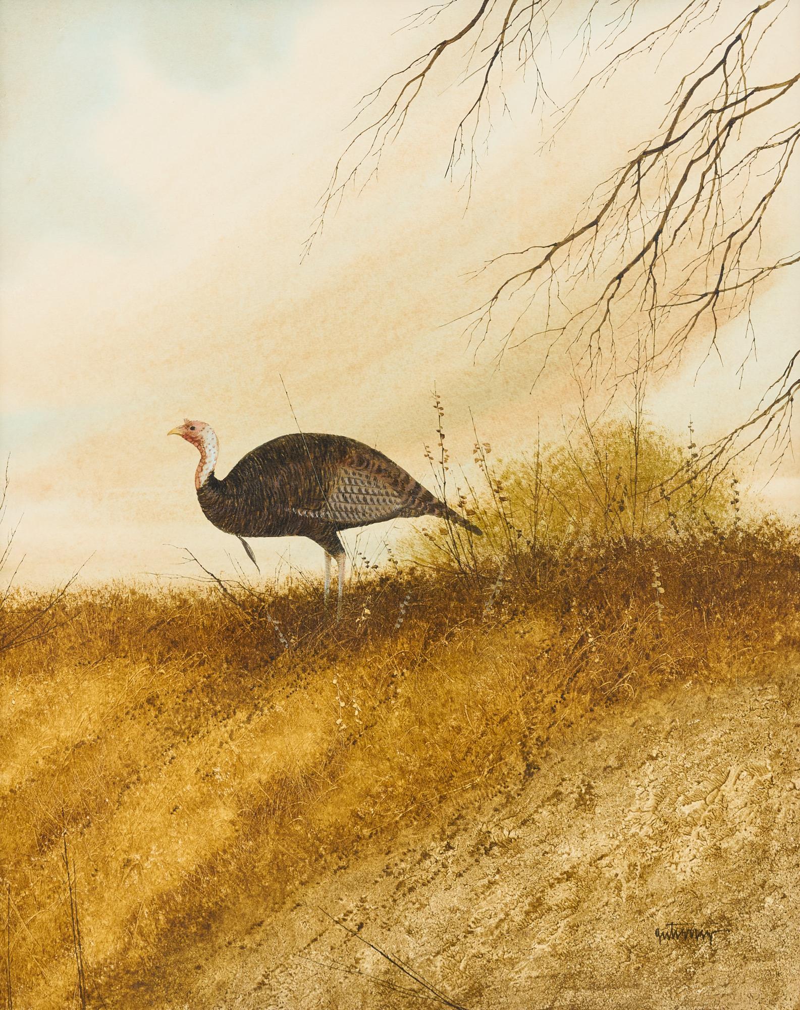 Raul Gutierrez (b. 1935), Turkey (1 of 4)