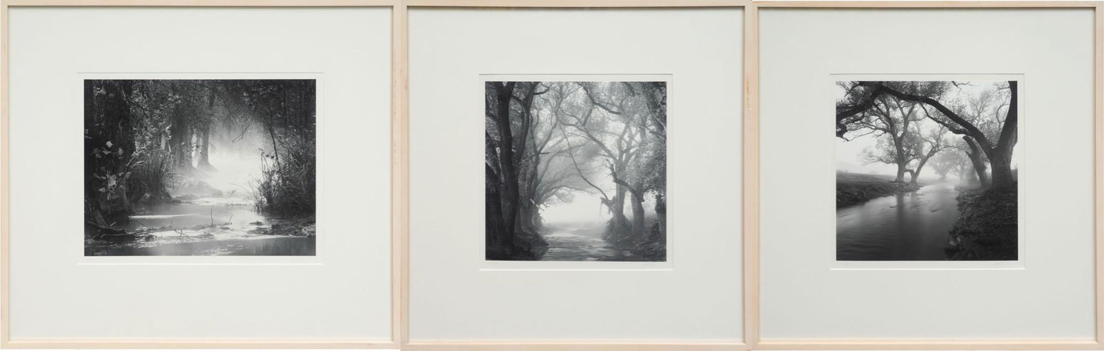 David Gibson, Triptych (1 of 19)