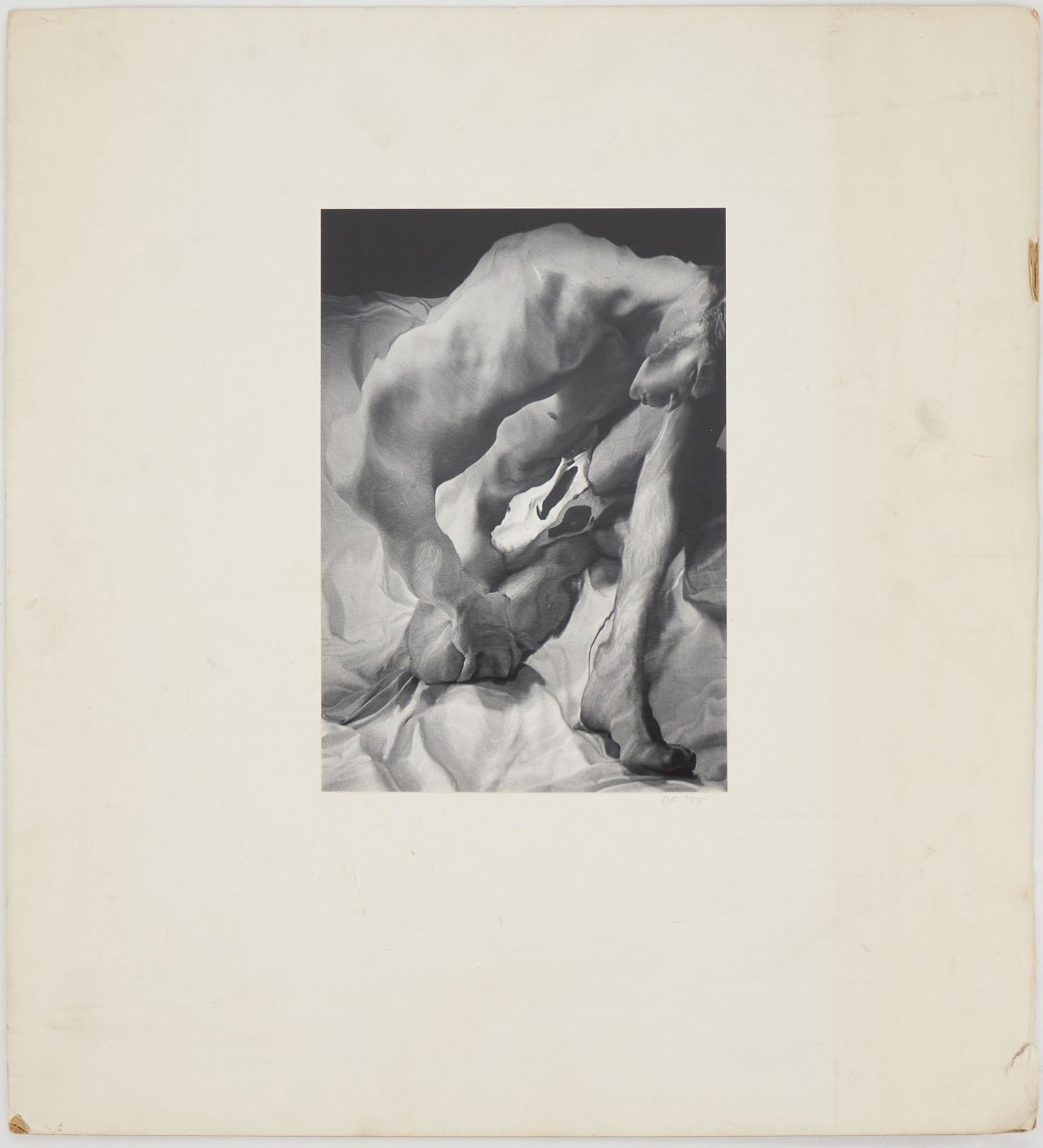 Male Portrait with Animal Skull, Photograph, 1975 (1 of 3)