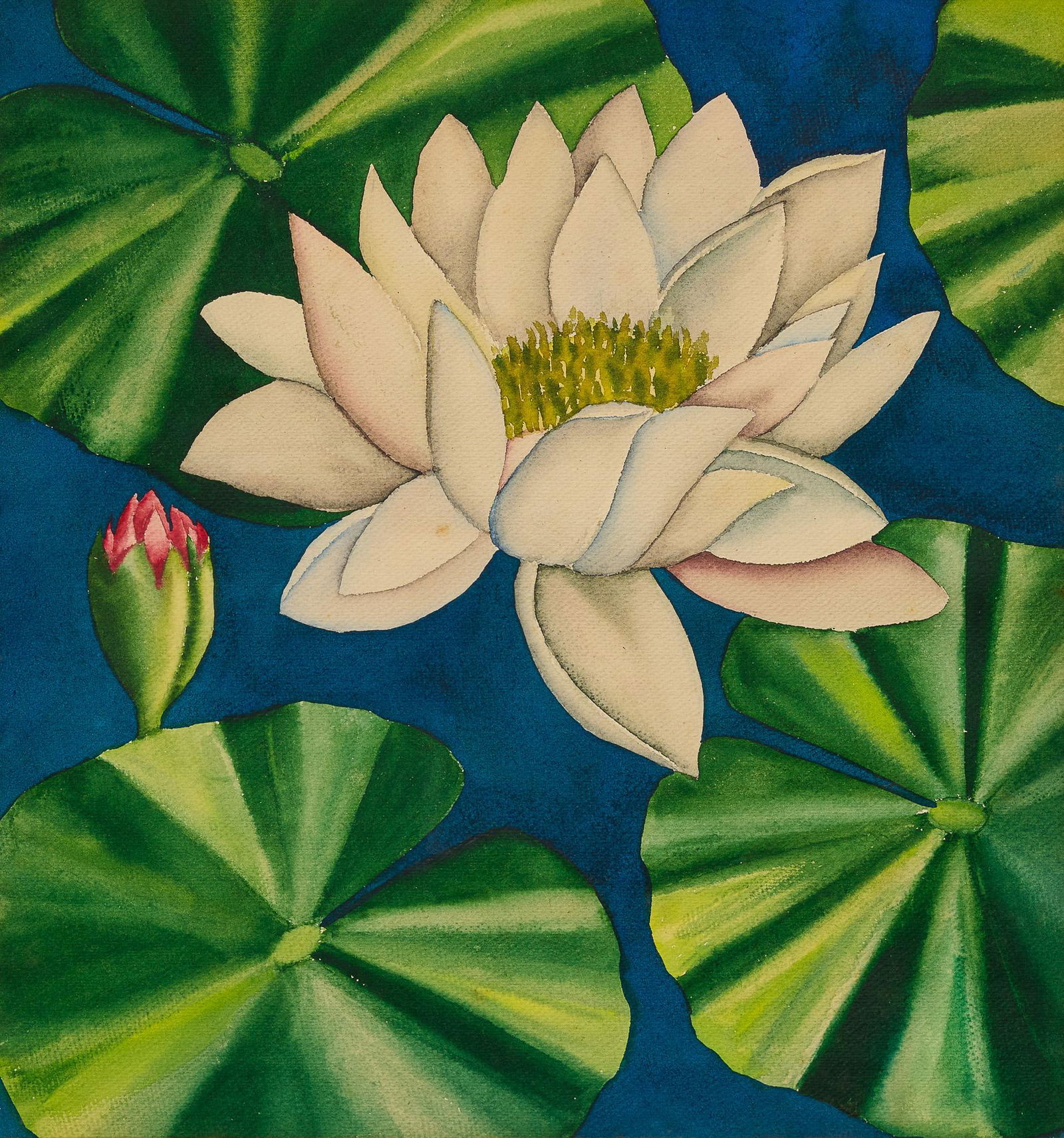 Dorothy Gay J., "Water Lily" (1 of 5)