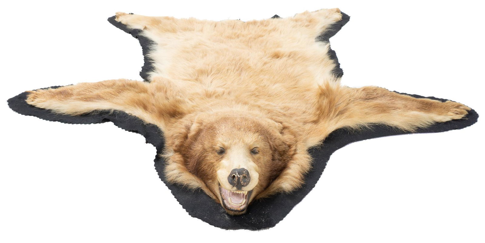 Brown Bear Taxidermy Rug (1 of 4)