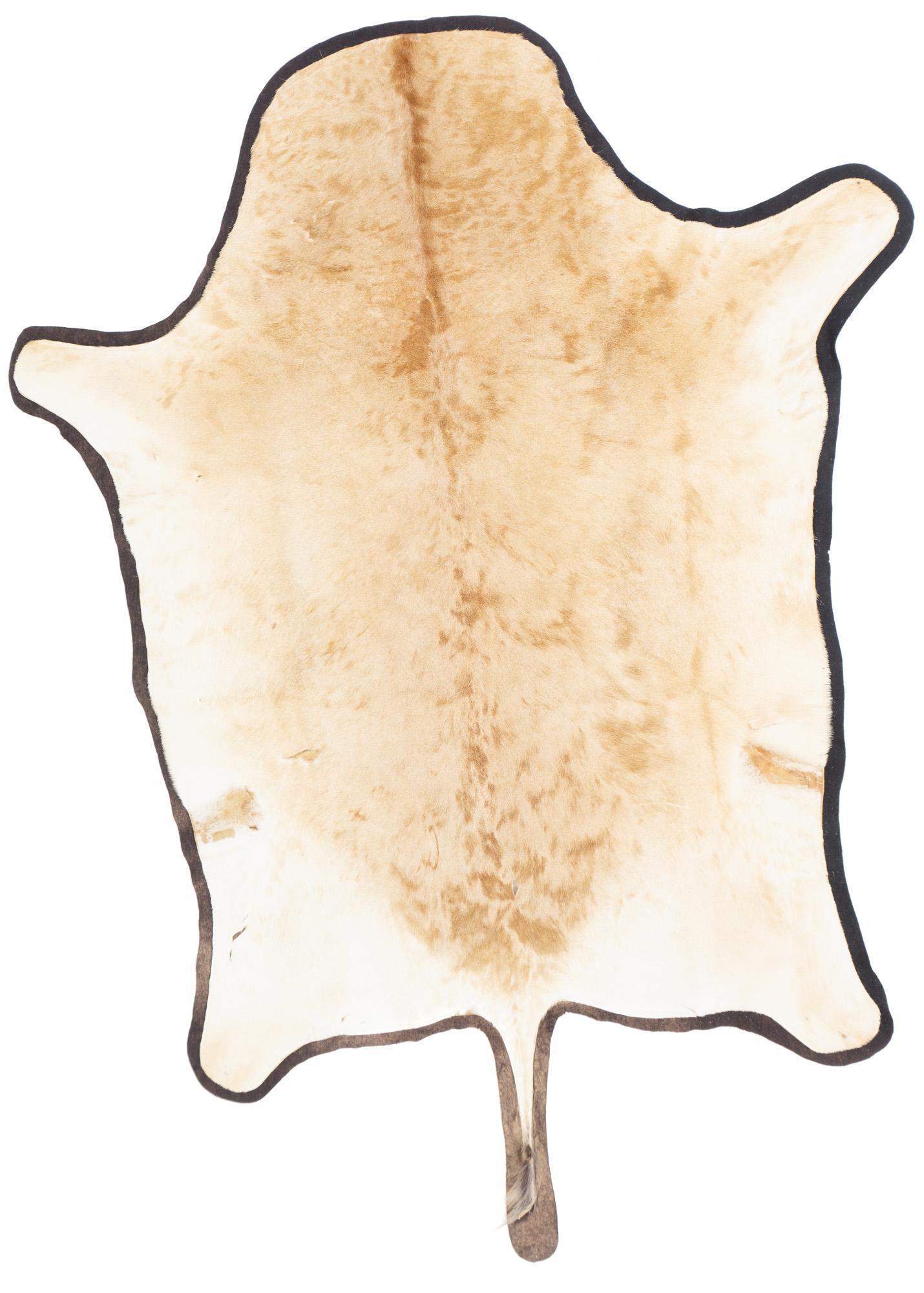 Vintage Antelope Taxidermy Hide Rug (1 of 4)