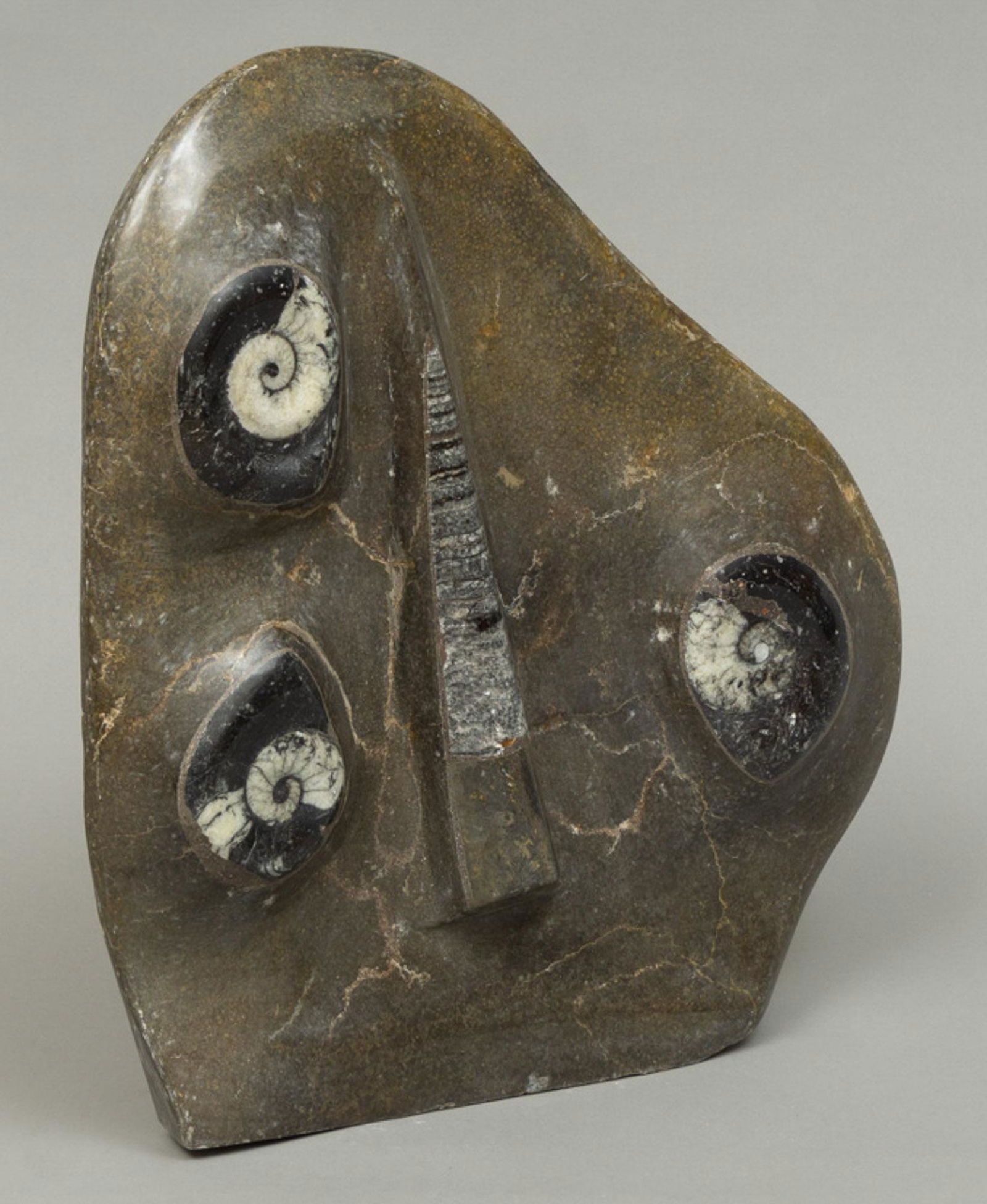 Ammonite and Orthoceras Plaque (1 of 3)