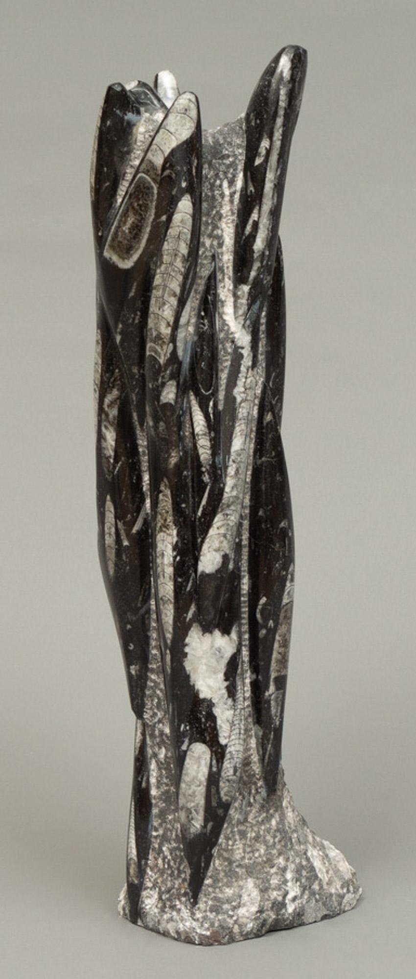 Orthoceras Fossil Tower (1 of 3)