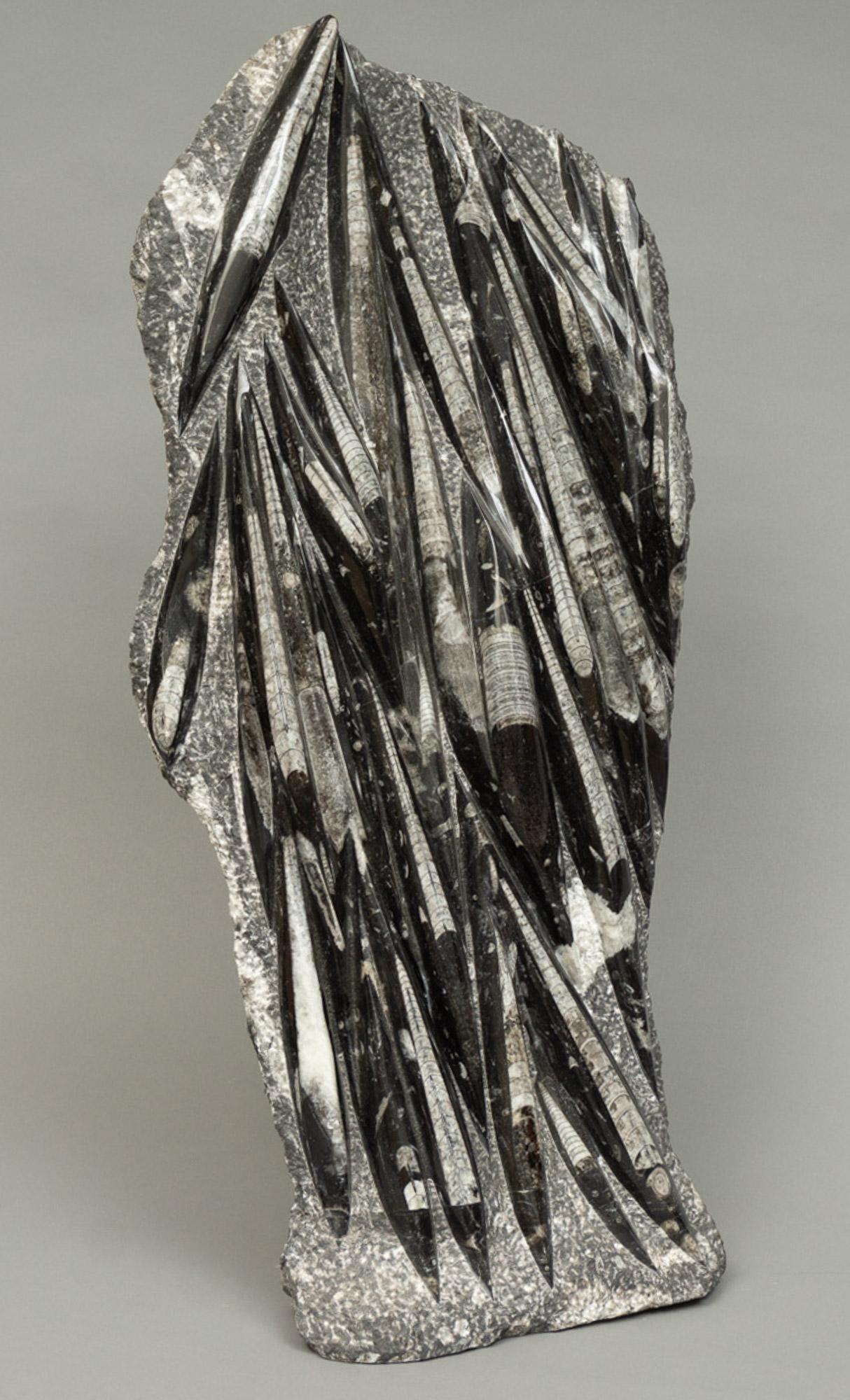 Orthoceras Fossil Tower (1 of 4)