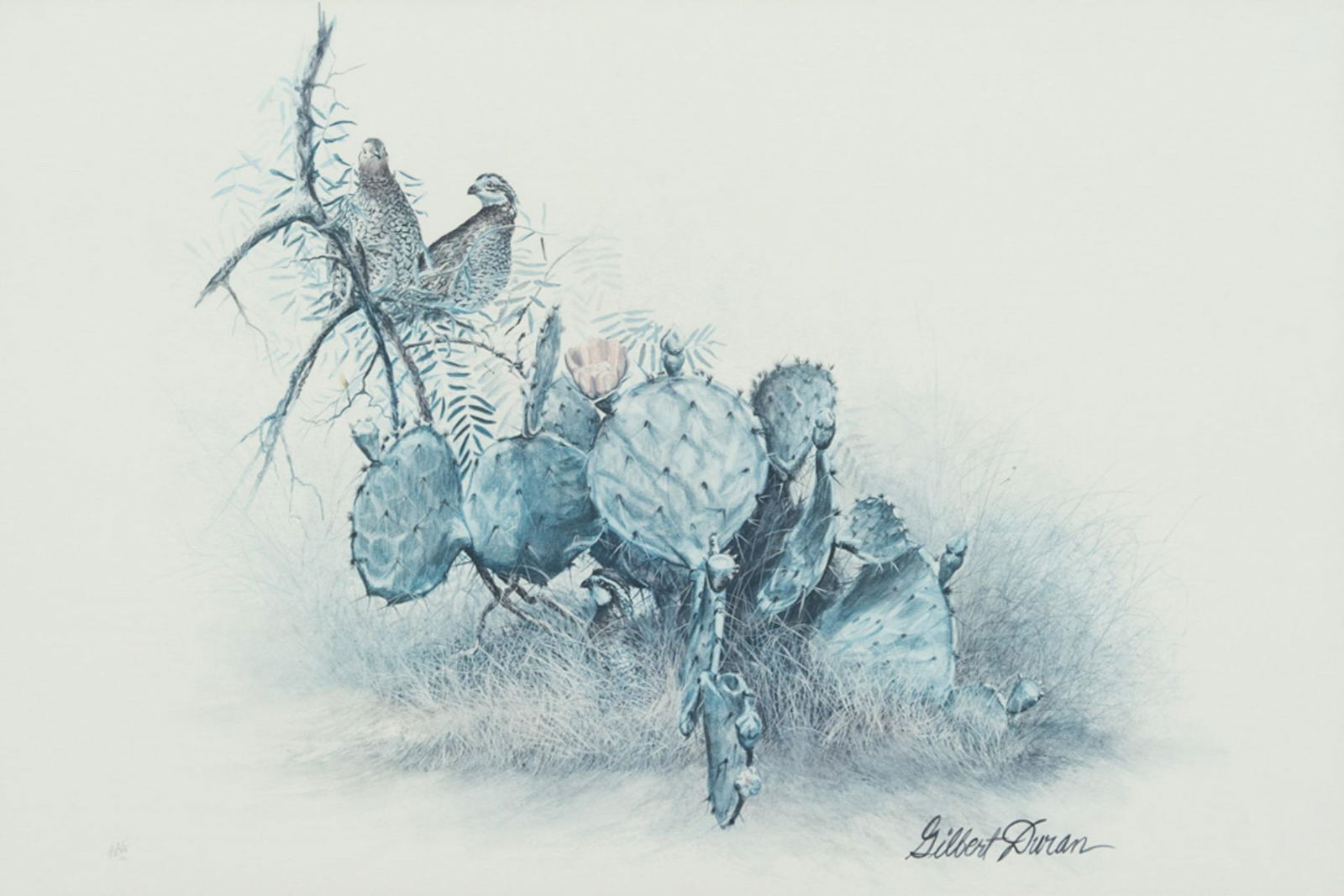 Gilbert Duran (B. 1936, TX), Cactus (1 of 4)