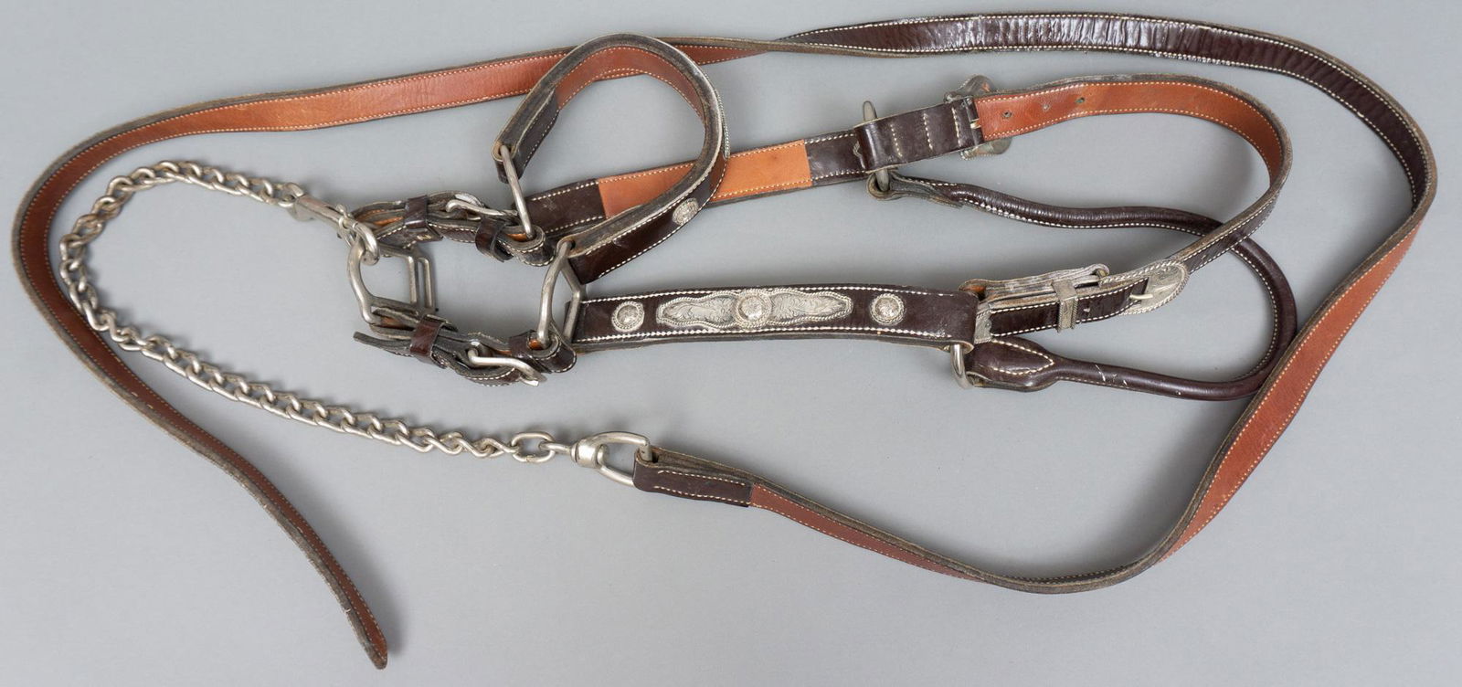 Show Horse Bridle and Lead (1 of 6)