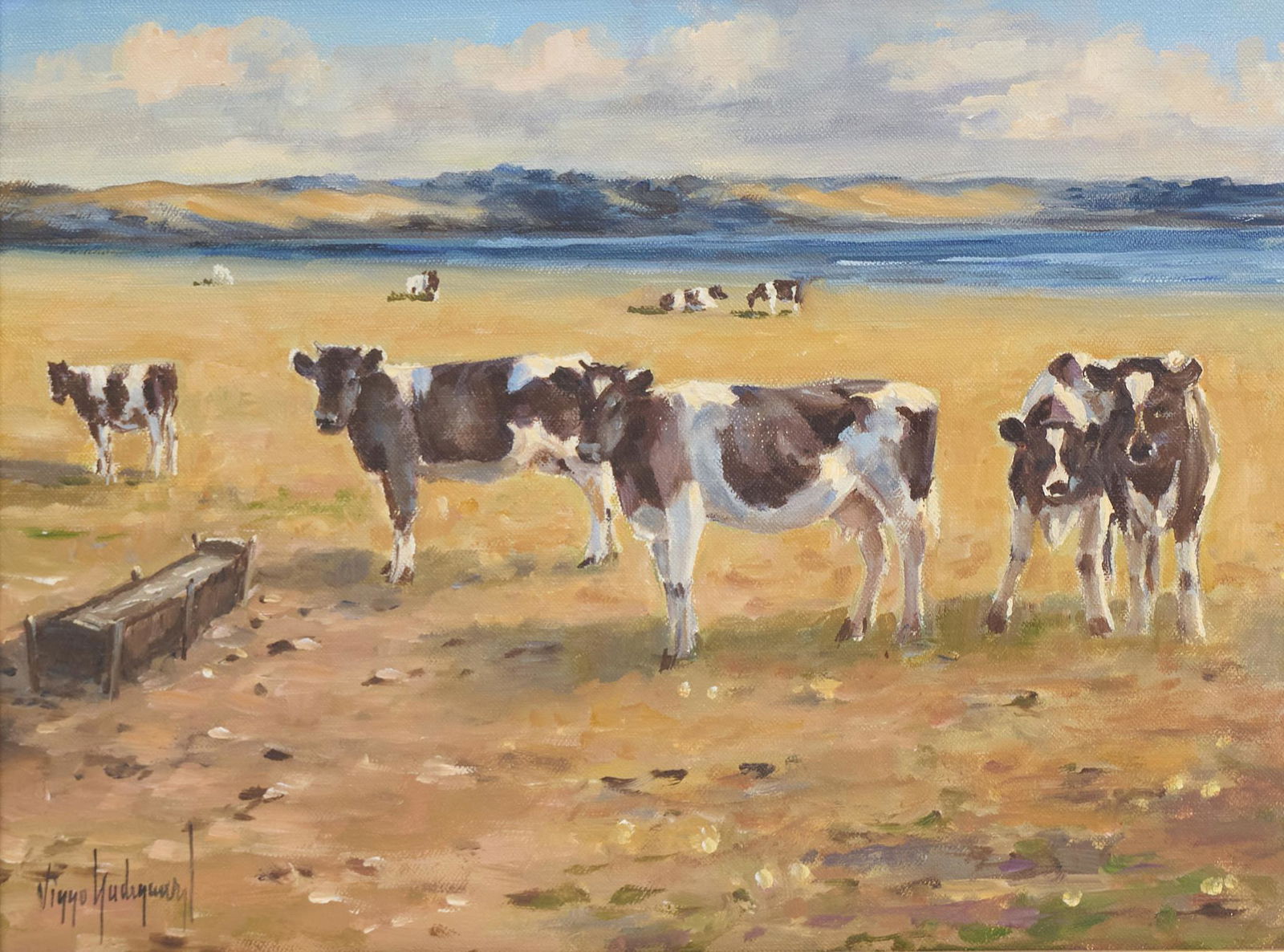 Viyyo U., Cows (1 of 4)