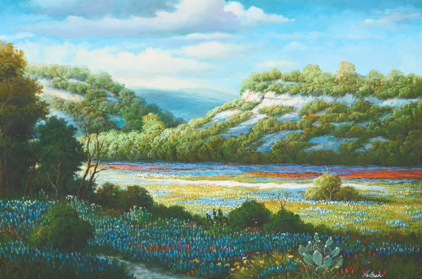 Paterson, Hill Country Wildflowers (1 of 4)