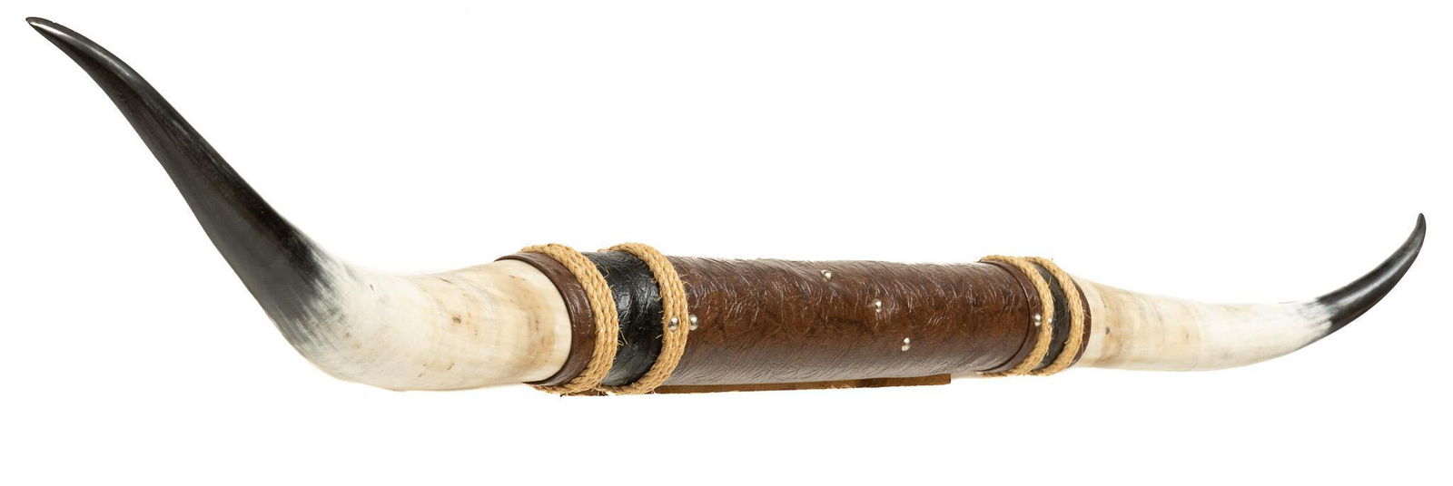 Mounted Longhorn Steer Horns (1 of 5)
