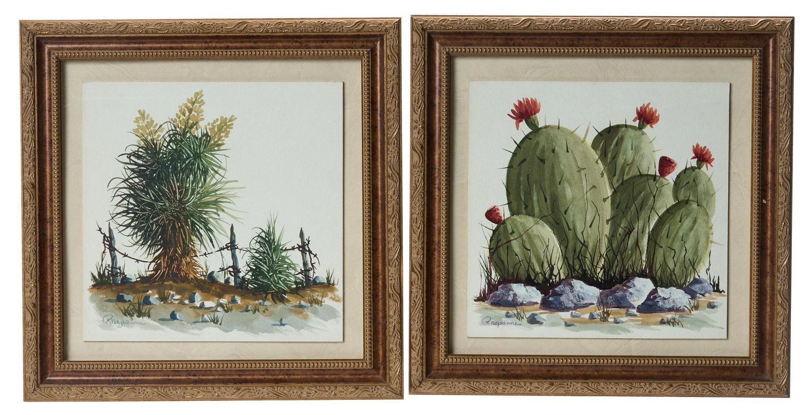 Raejeanne (20th C., Navajo), Cactus and Yucca (2): Raejeanne (20th C., Navajo Nation), two gouache on board, cactus and yucca, framed sight: 10" x 10", frame: 14.5" x 14.5"/ each Provenance: A San Antonio, Texas collection We happily provide seamless 