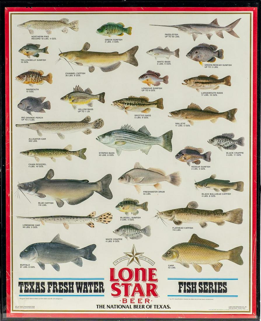 Lone Star Fishing Series Poster (1 of 4)
