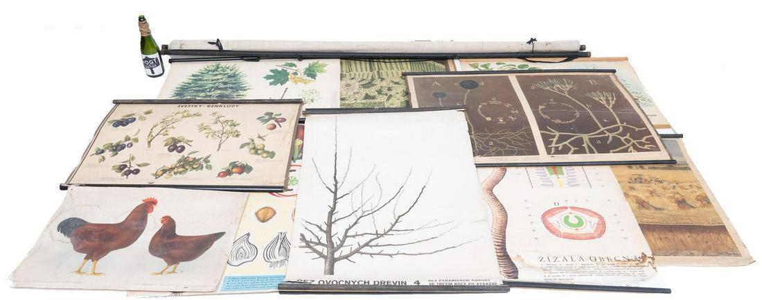 Collection of (12) Vintage School Posters (1 of 15)