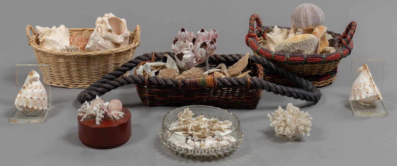 Collection of Vintage Sea Shells (1 of 8)