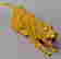 item-126043835=5