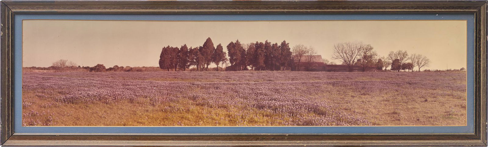 Eugene Goldbeck, Bluebonnets Panorama (1 of 4)
