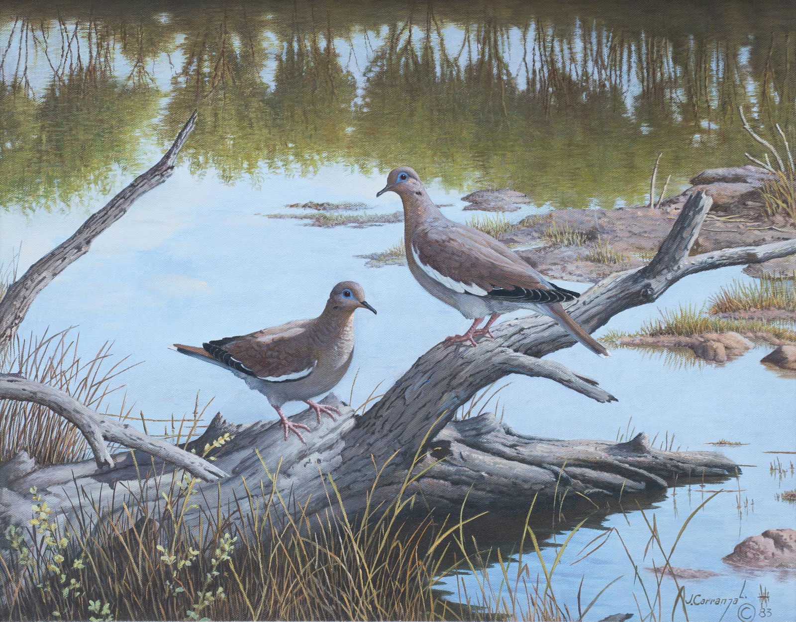 Jesus Carranza (1926-2014), White-Winged Doves and Creek (1 of 4)