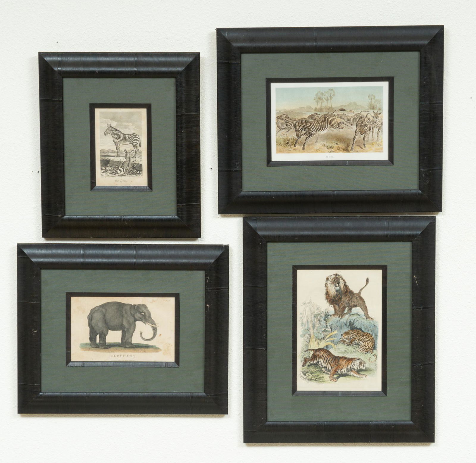 Set of (4)  19th C. African Wildlife Prints (1 of 14)