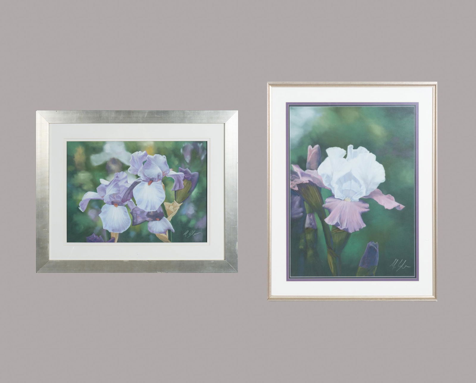 Mark Coyle, Iris Pastels (2) (1 of 8)