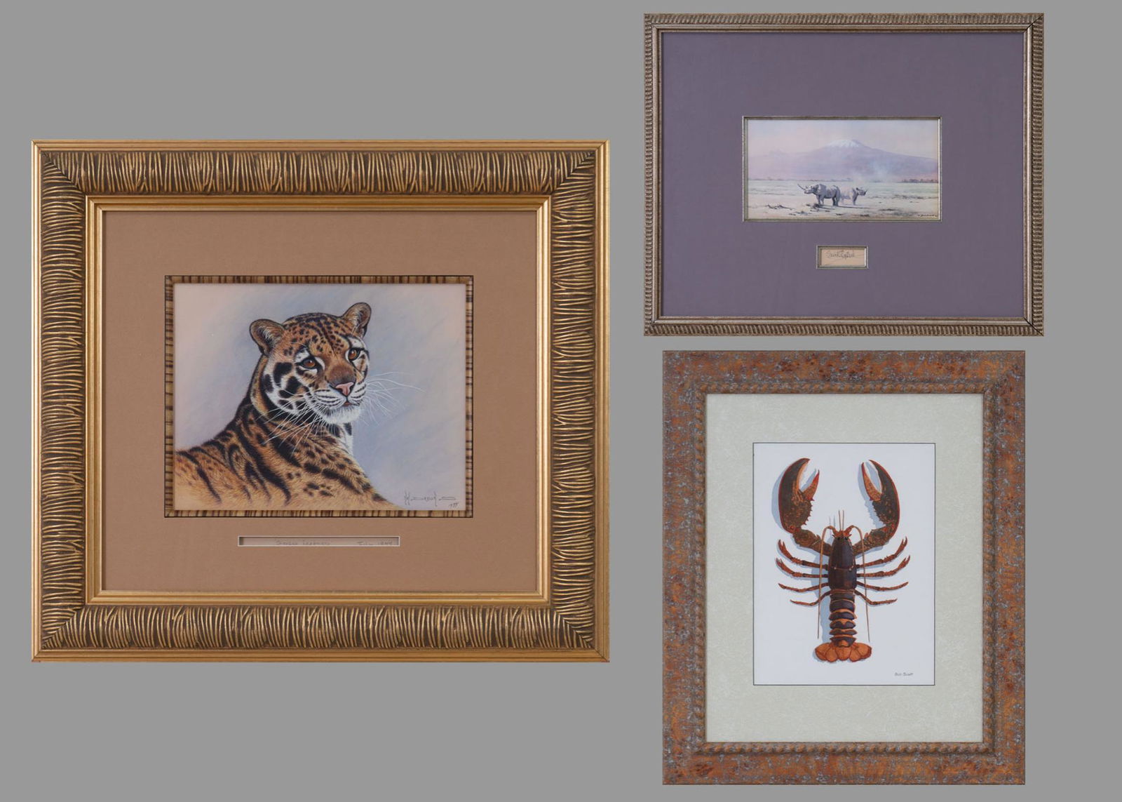 Original Wildlife Portraits (3) (1 of 16)