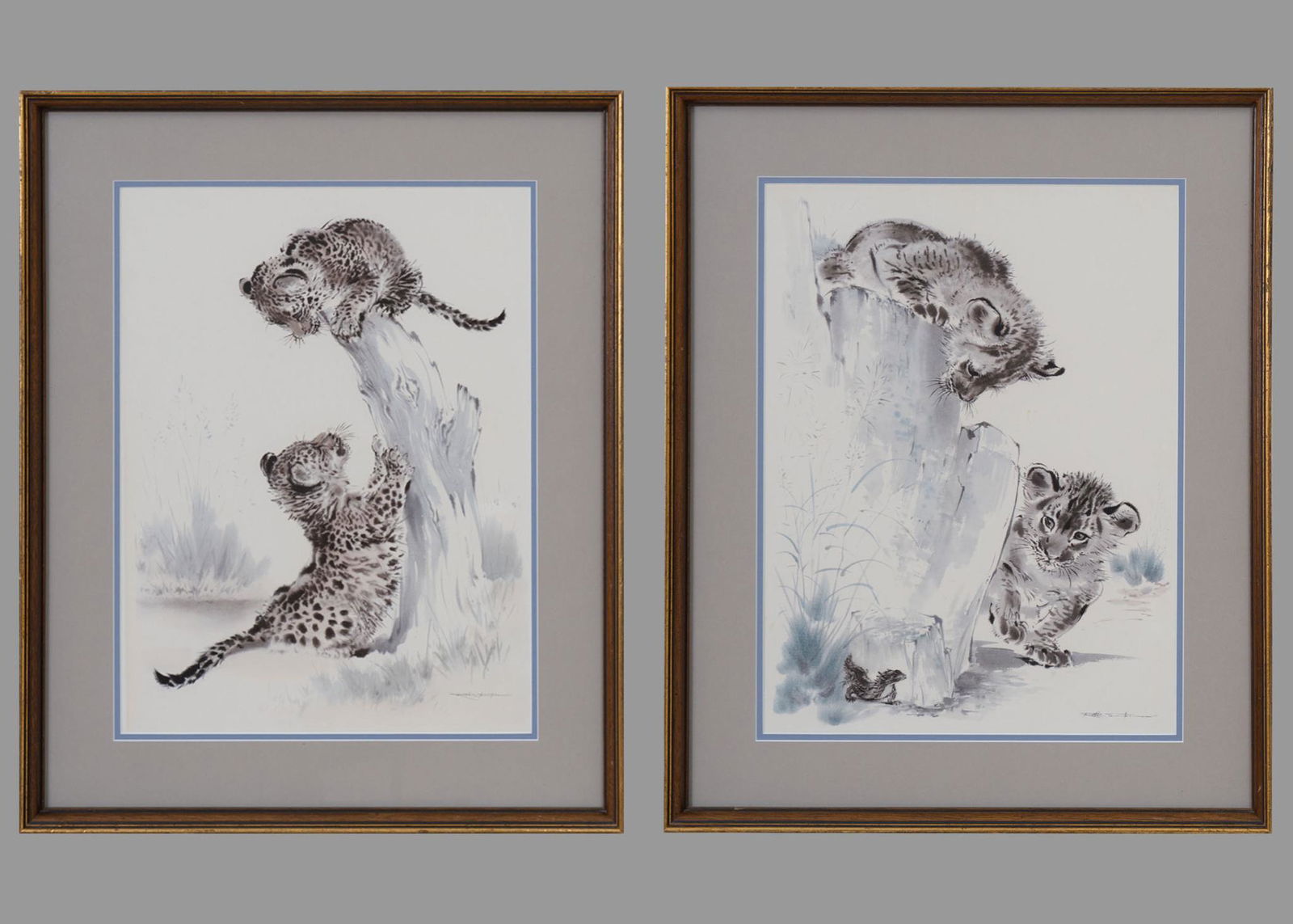 Jaguar and Tiger Cub Prints (2) (1 of 9)
