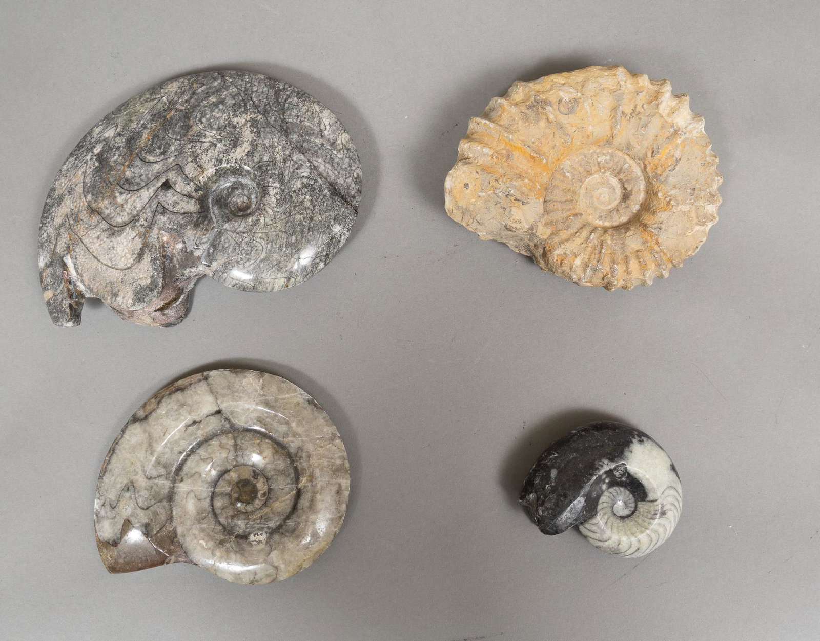 Set of (4) Ammonite Sculptures in Stone: Set of four ammonite sculptures in natural stone 2"h x 6"w x 4"d / largest â€¹Provenance: A San Antonio, Texas collection We happily provide seamless shipping services on everything we sell. Pleas