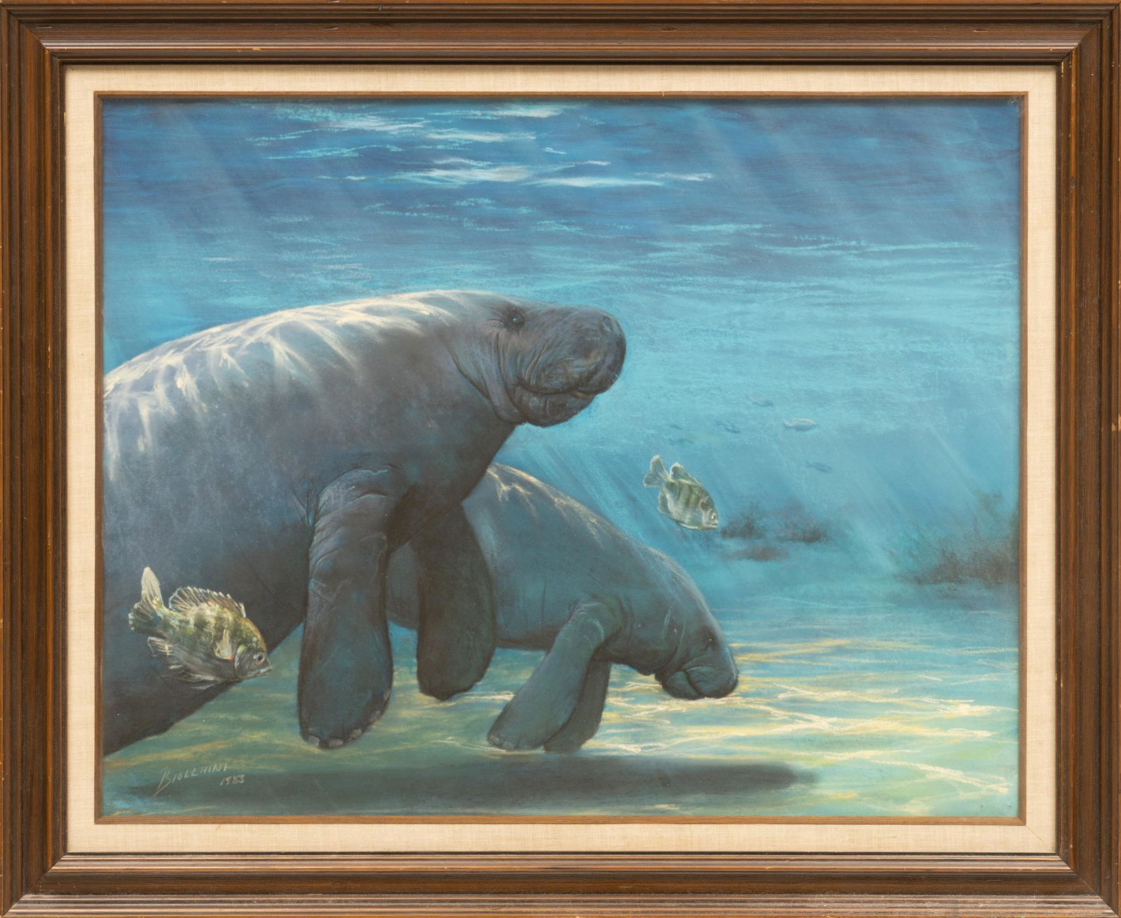 Gregory Biolchini, "Manatee Suite" (1 of 7)