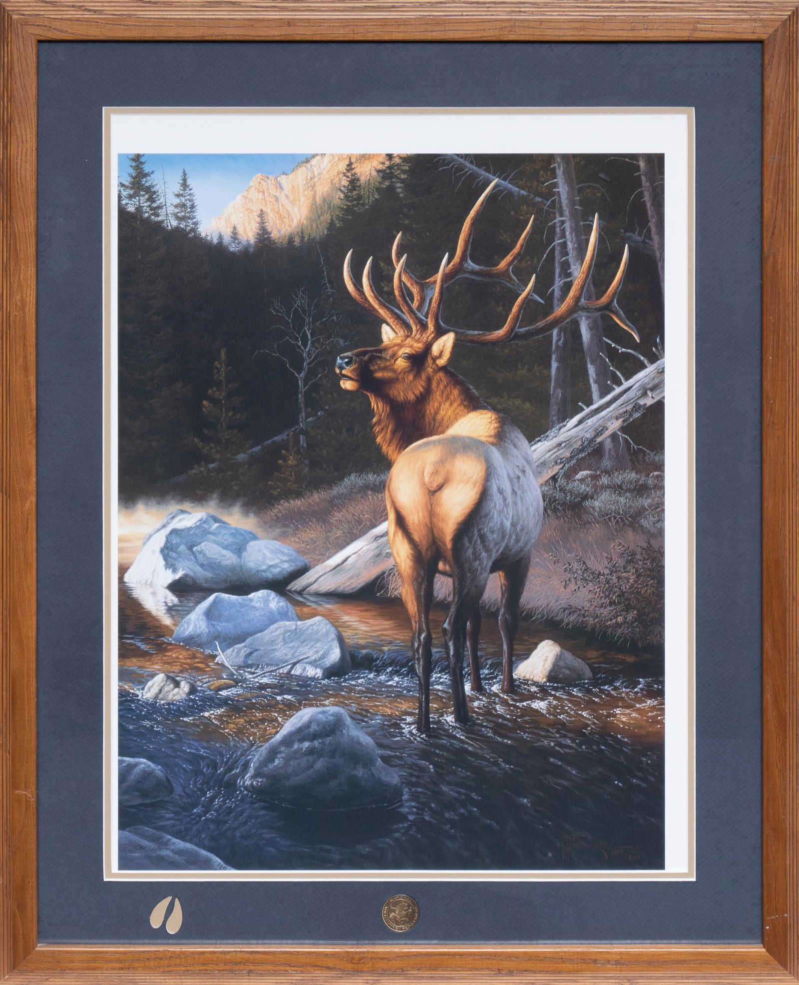 Tom Mansanarez (b.1962/3, CA), Elk (1 of 5)