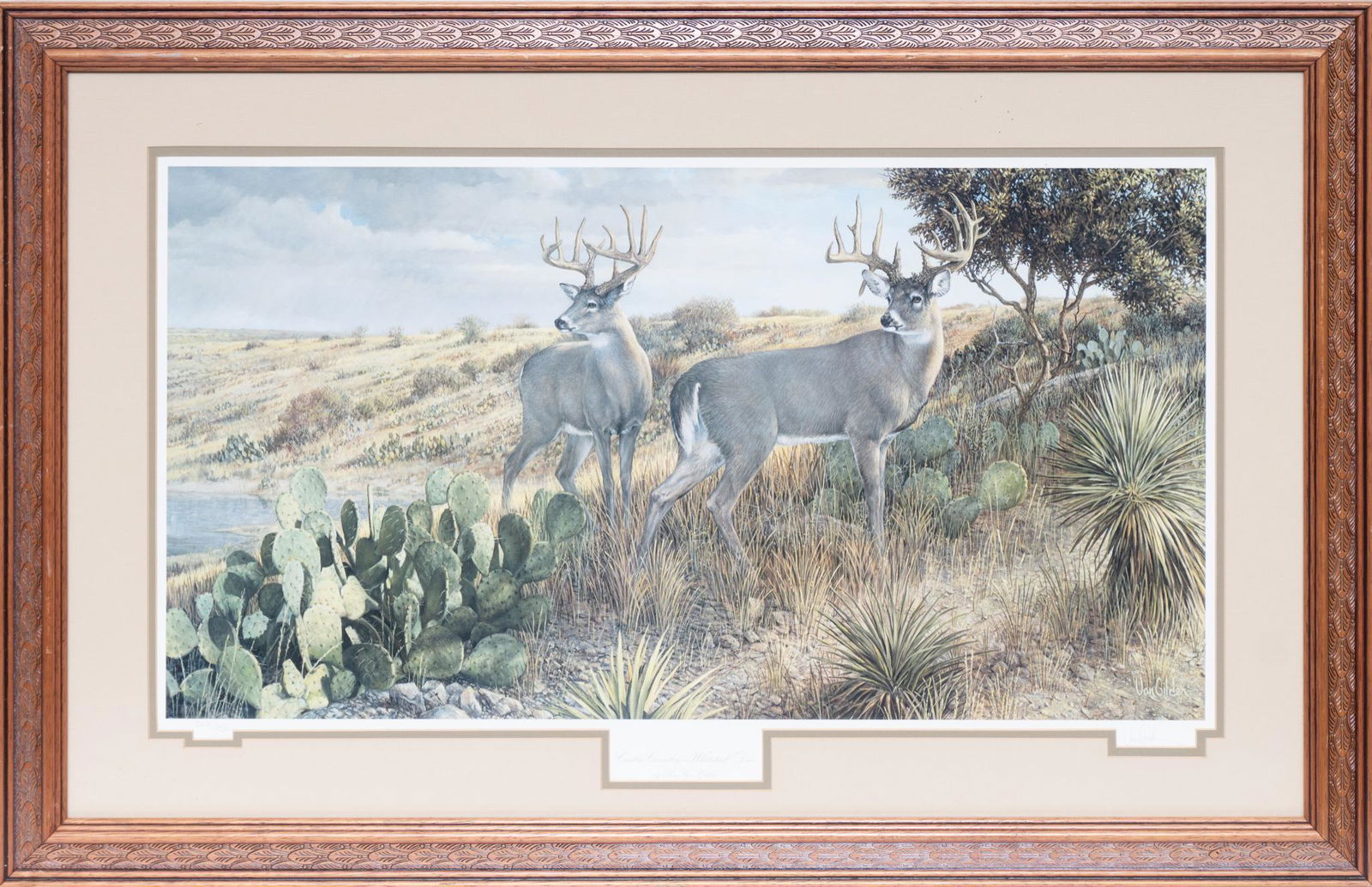 Ron Van Gilder (b.1946) "Cactus Country -Whitetail Deer" (1 of 7)