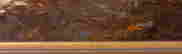 item-131686799=11