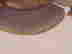 item-131686799=19